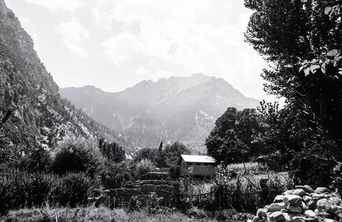 小屋旁树木的灰度摄影 · 免费素材图片