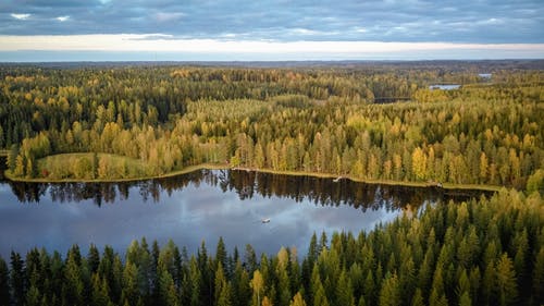 树木之间的湖照片 · 免费素材图片