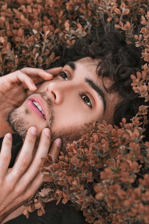 躺在褐色的植物上的男人的照片 · 免费素材图片