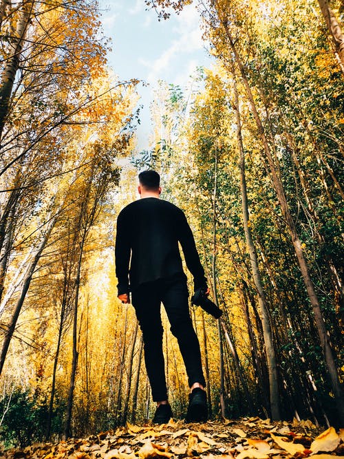 白天在树林里散步的人 · 免费素材图片
