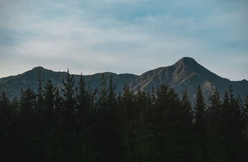 山脉旁边的树木 · 免费素材图片