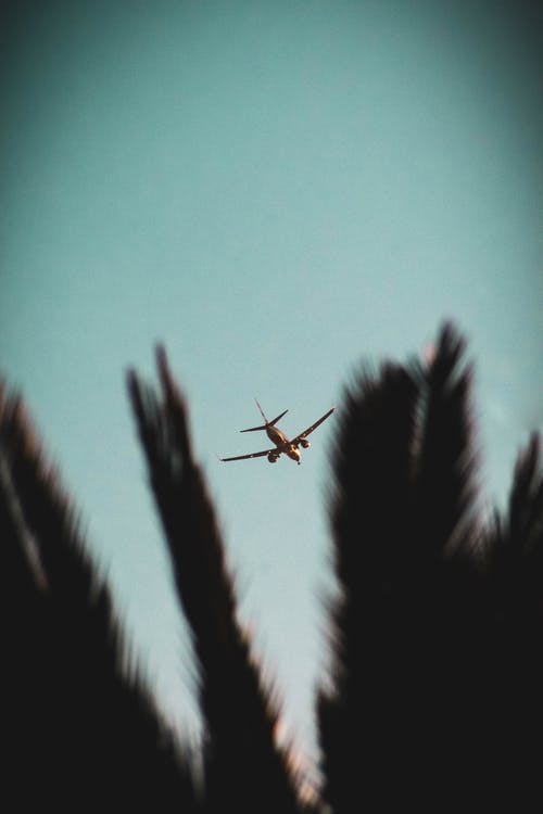 天空中的飞机 · 免费素材图片