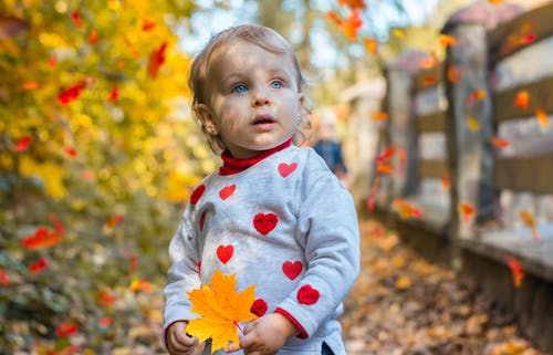 婴儿抱着枫叶的浅焦点照片 · 免费素材图片