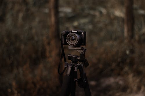 黑色单反相机在三脚架上的浅焦点照片 · 免费素材图片