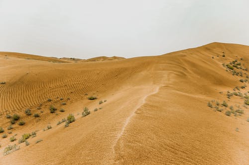 沙丘在沙漠中的景观 · 免费素材图片