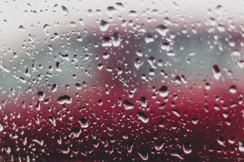 雨滴的特写照片 · 免费素材图片