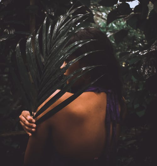 女人抱着深绿叶植物 · 免费素材图片