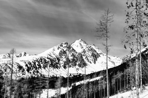 单色照片中的雪山景 · 免费素材图片