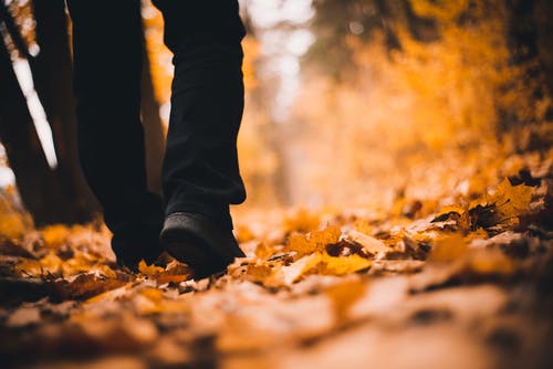 在干燥的叶子上行走的人的选择性聚焦照片 · 免费素材图片