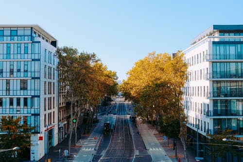 高高的角度拍摄的两座现代建筑之间排满树木的城市街道 · 免费素材图片