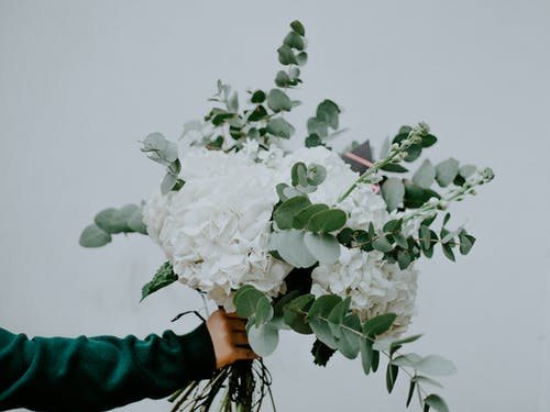 拿着白色的花，绿色的叶子，在白色背景前的人的照片 · 免费素材图片