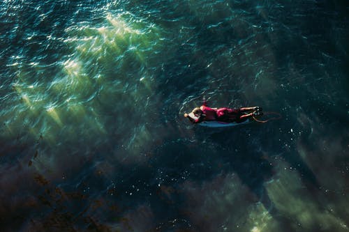 冲浪板在水中游泳的人 · 免费素材图片