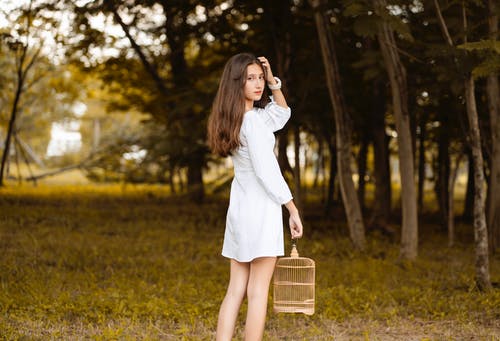 有关下落, 世代, 公园的免费素材图片