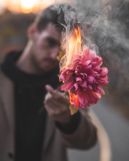 男子手持粉红色花瓣的花 · 免费素材图片