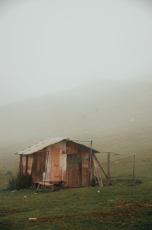 有雾的天气在草地上的木屋 · 免费素材图片