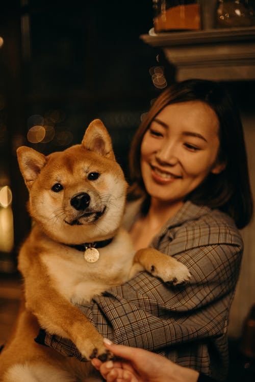 女人抱着棕色千叶犬狗 · 免费素材图片