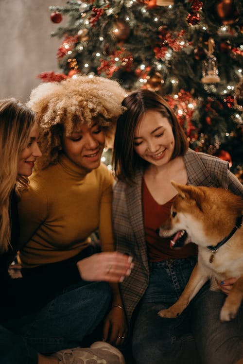 看着白色和棕色的狗的三个微笑妇女的选择性聚焦摄影 · 免费素材图片