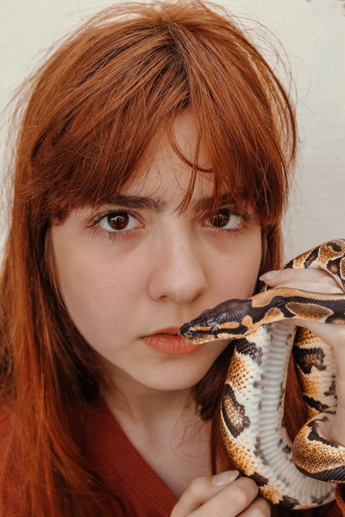 拿着蛇的棕色头发的女人 · 免费素材图片