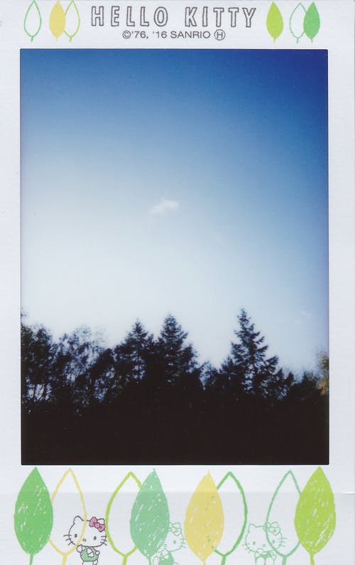 树木照片 · 免费素材图片