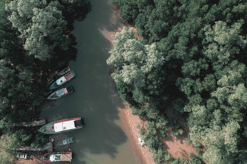 鸟瞰河 · 免费素材图片