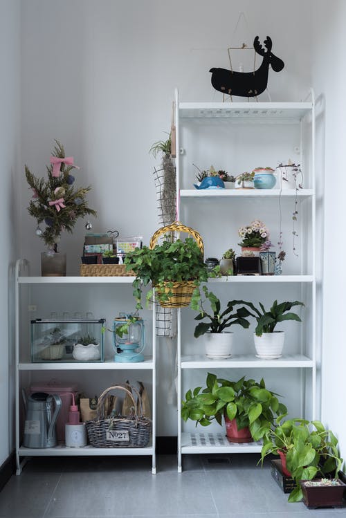 白木四层搁板 · 免费素材图片