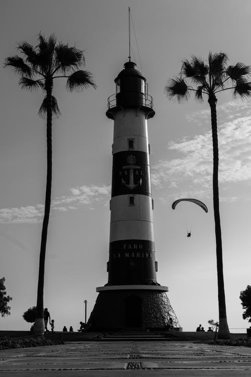 棕榈树之间的灯塔的单色照片 · 免费素材图片
