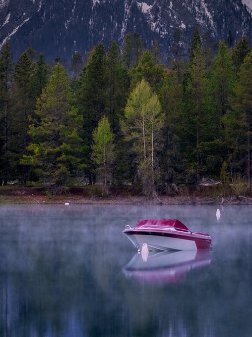 小船在平静的水面附近树木 · 免费素材图片