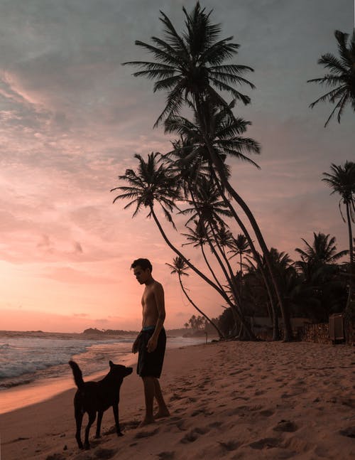 人与狗站在岸上 · 免费素材图片