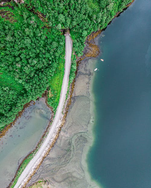 高角度拍摄的绿树和道路 · 免费素材图片