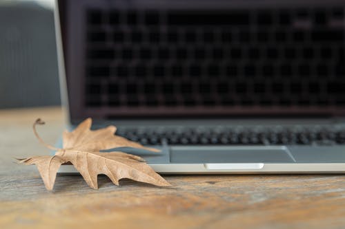 棕色枫叶在笔记本电脑上 · 免费素材图片