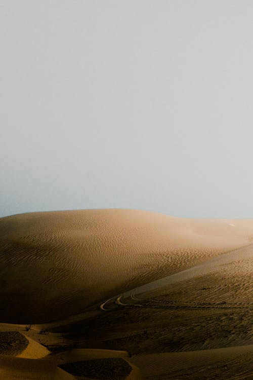 沙丘在沙漠地形在阳光灿烂的日子 · 免费素材图片