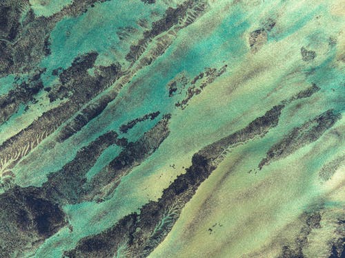 绘画的特写照片 · 免费素材图片