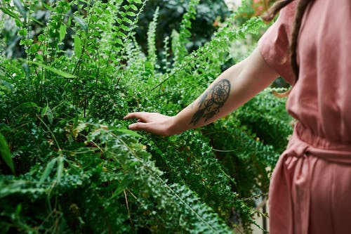 触摸绿叶的人的照片 · 免费素材图片