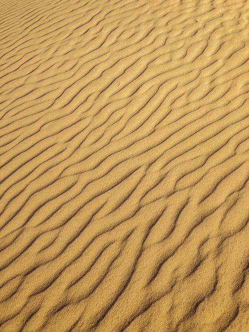 Vast Sand的照片 · 免费素材图片