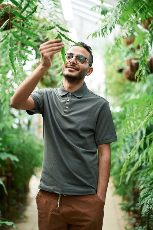 男人碰植物时穿polo衫 · 免费素材图片