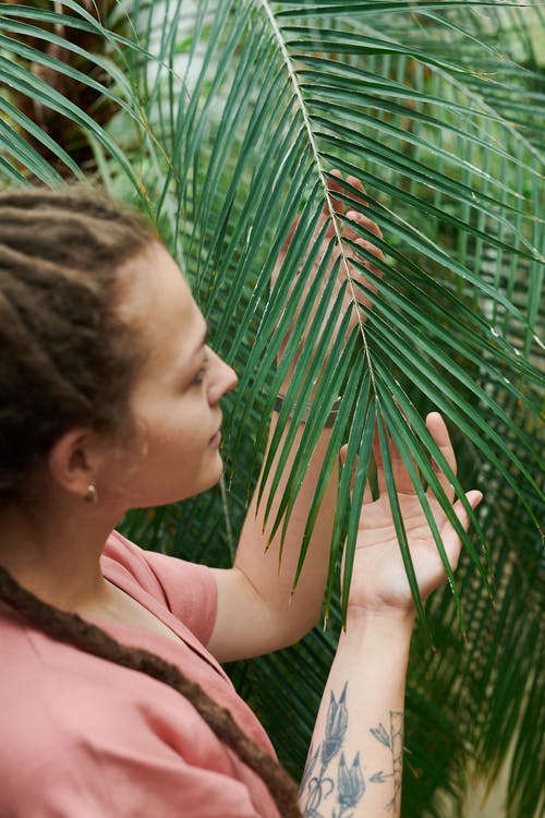 女人抱着棕榈叶 · 免费素材图片