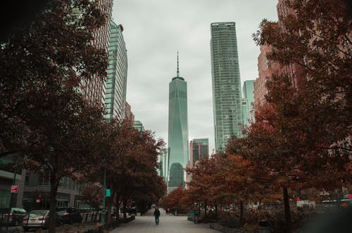 现代建筑 · 免费素材图片