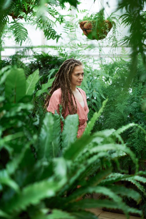 女人站在植物之间的选择性焦点摄影 · 免费素材图片