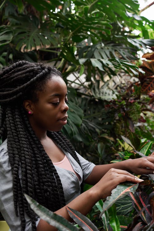 女人抱着植物的照片 · 免费素材图片