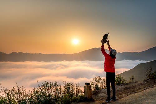 站在云海附近的人的照片 · 免费素材图片
