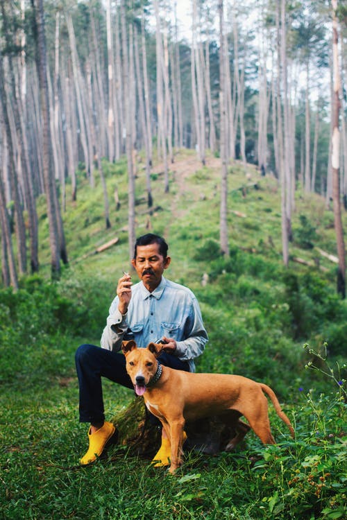 坐在狗旁边的人的照片 · 免费素材图片