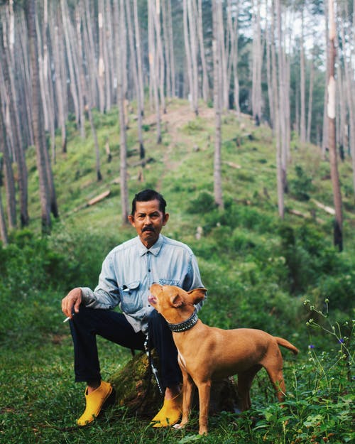 人与他的狗在树林里坐在一块岩石上 · 免费素材图片