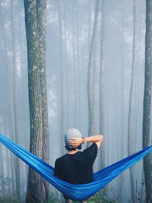 坐在高高的树木包围的蓝色吊床上的人 · 免费素材图片