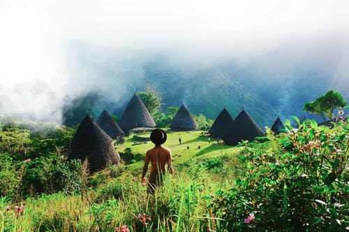 站在植物附近的人的照片 · 免费素材图片