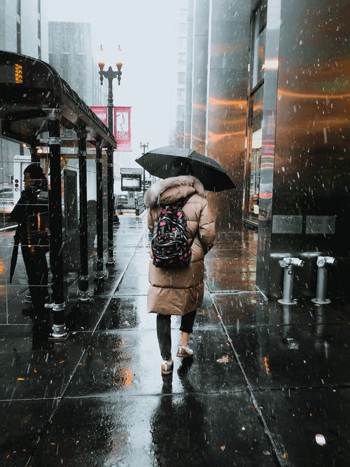 在黑伞下的街道上行走的女人 · 免费素材图片