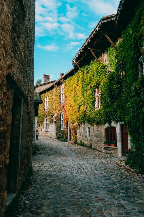 植物覆盖的建筑物 · 免费素材图片