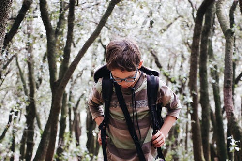男孩在森林树木附近散步时穿棕色和灰色的条纹的衬衫，背着黑色背包 · 免费素材图片