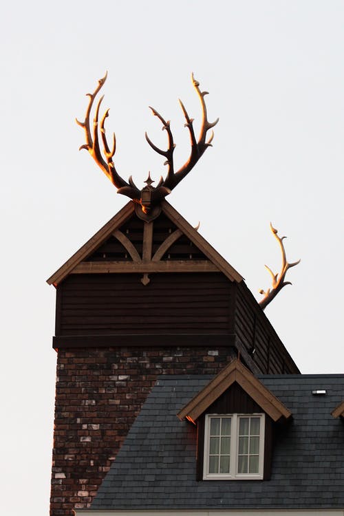 棕色木屋与鹿角在屋顶上 · 免费素材图片