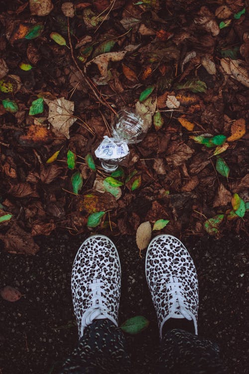 穿着棕色和白色豹纹鞋站在棕色和绿色的树叶附近的人 · 免费素材图片