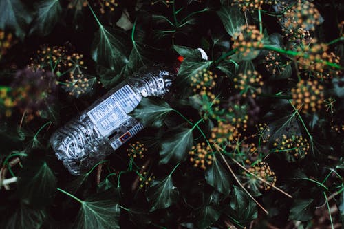 水瓶子在草地上的灰度照片 · 免费素材图片
